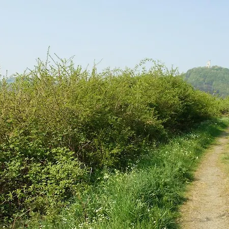 Ferienwohnung Burgblick Pitzen